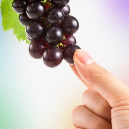 May You Experience the Original Meaning of Carpe Diem